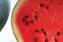 SEEDS - Watermelon Sugar Baby